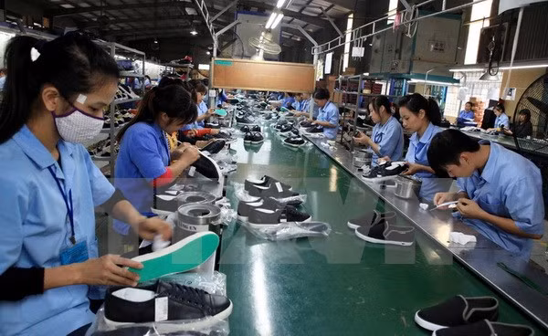 Calzado de Vietnam ante cuestión de avanzar tanto en calidad como en cantidad ảnh 1 Calzado de Vietnam ante cuestión de avanzar tanto en calidad como en cantidad ảnh 1