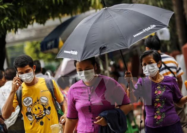 Registran brotes de gripe aviar en Myanmar ảnh 1