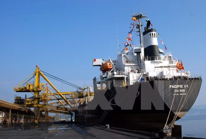 Exportaciones vietnamitas a EE.UU. totalizarán 40 mil millones de dólares en 2017 ảnh 1