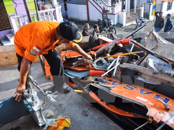 Confirman muerte de cinco personas en accidente aéreo en el este de Indonesia ảnh 1