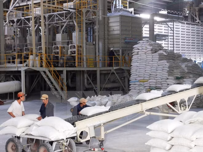 Tailandia despliega programa millonario de aseguramiento del sector arrocero ảnh 1 Tailandia despliega programa millonario de aseguramiento del sector arrocero ảnh 1