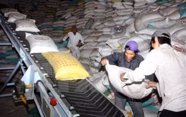 Filipinas realizará licitación para comprar 250 mil toneladas de arroz ảnh 1