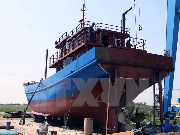 Thanh Hoa inspecciona calidad de barcos pesqueros ảnh 1