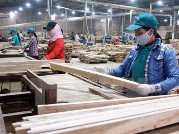 Ciudad Ho Chi Minh registra avances en sector industrial en primer semestre de 2017 ảnh 1 Ciudad Ho Chi Minh registra avances en sector industrial en primer semestre de 2017 ảnh 1