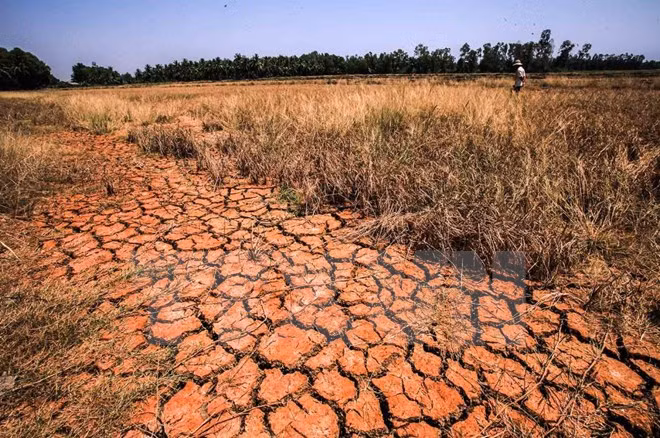Acciones de protección ambiental en Vietnam deben apoyarse en la comunidad ảnh 1 Acciones de protección ambiental en Vietnam deben apoyarse en la comunidad ảnh 1