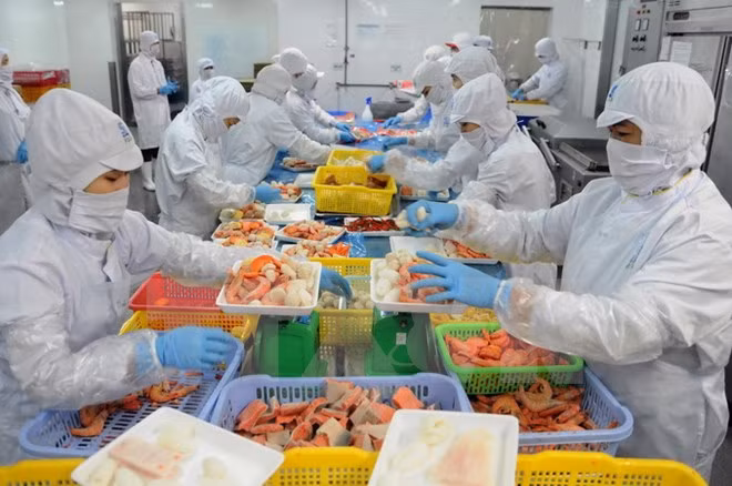 Vietnam y Estados Unidos promueven actividades emprendedoras ảnh 1