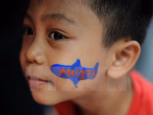 Familiares de víctimas chinas del MH370 demandan a Malaysia Airlines ảnh 1 Familiares de víctimas chinas del MH370 demandan a Malaysia Airlines ảnh 1