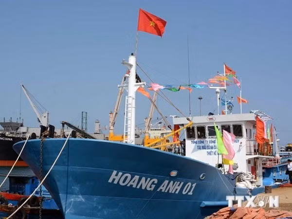 Alientan a pescadores de Quang Ngai a aferrarse al mar ảnh 1 Alientan a pescadores de Quang Ngai a aferrarse al mar ảnh 1