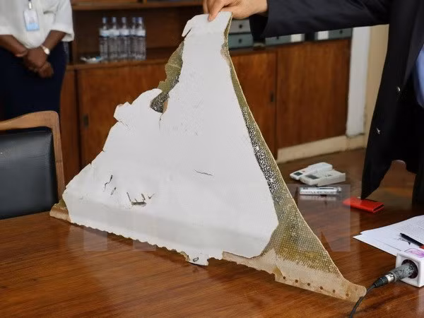 Mozambique deliberará con expertos malasios sobre restos de avión encontrados ảnh 1