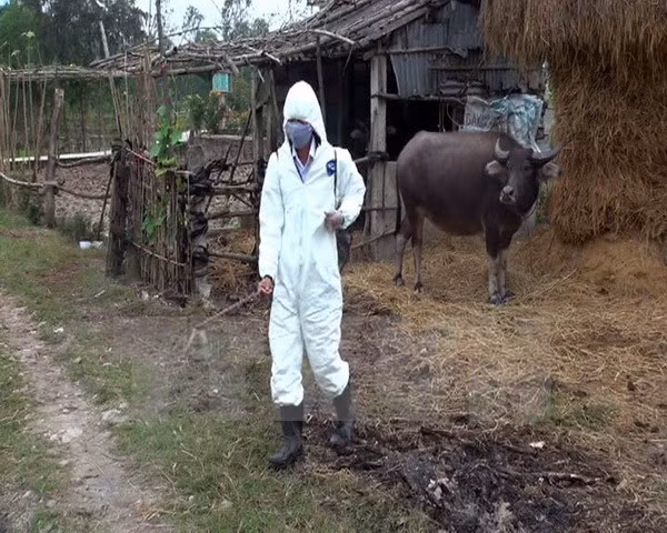Vietnam afronta enfermedades transmitidas de animales a humanos ảnh 1