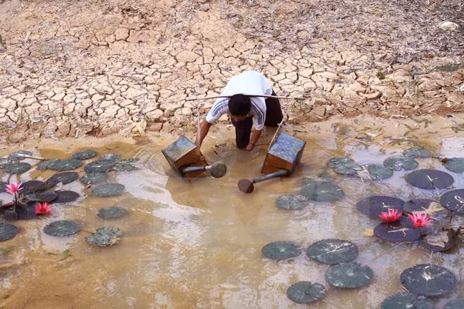 Obras hidroeléctricas en Mekong causan pérdidas de 231 millones de dólares ảnh 1