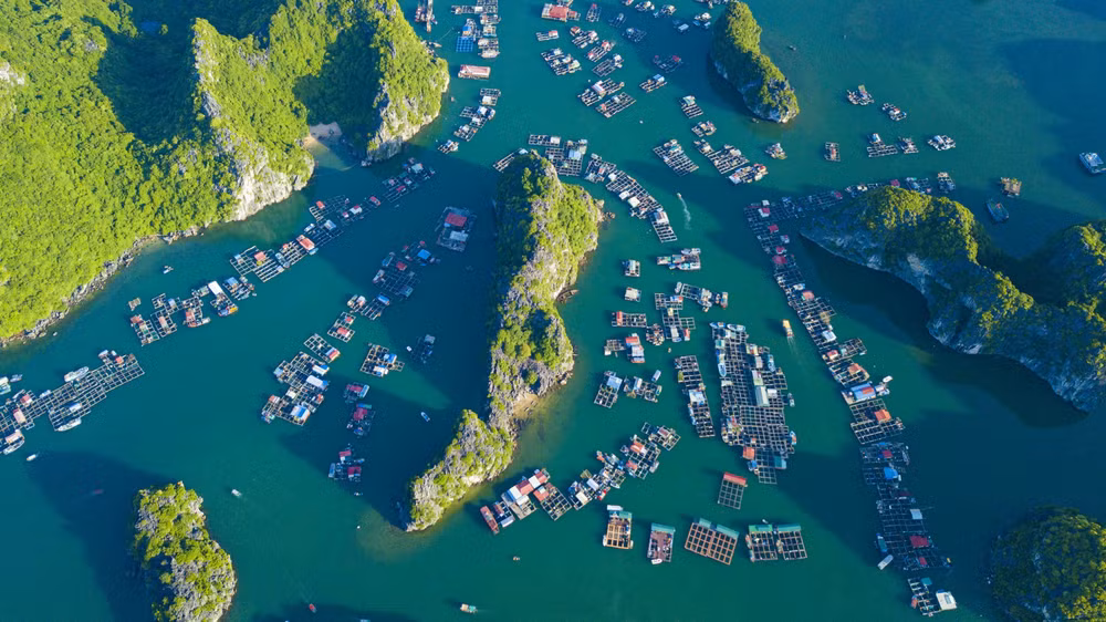 Isla Cat Ba – destino atractivo de ciudad de Hai Phong ảnh 3