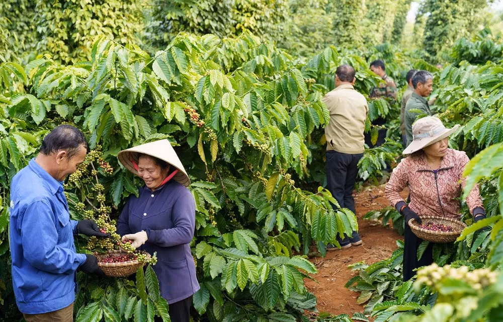 Exhortan a empresas vietnamitas a asumir ESG para su desarrollo sostenible ảnh 1 Exhortan a empresas vietnamitas a asumir ESG para su desarrollo sostenible ảnh 1