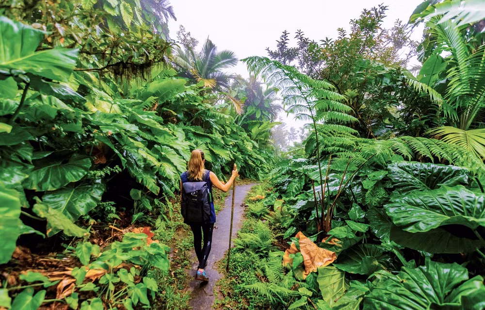 Localidades vietnamitas fortalecen transformación digital en turismo ảnh 1