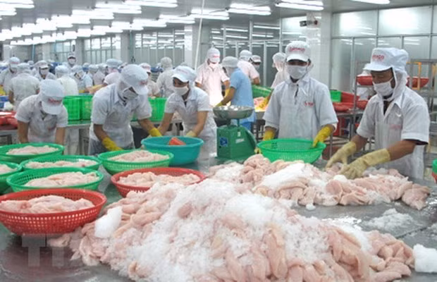 Wall Street Journal destaca crecimiento económico de Vietnam ảnh 1