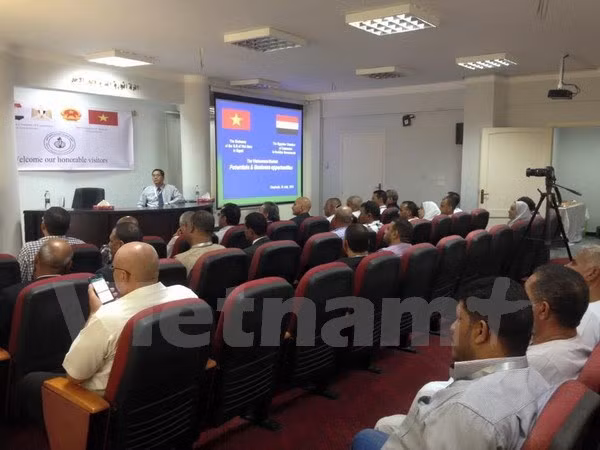 Interesadas empresas egipcias en cooperar con socios vietnamitas ảnh 1