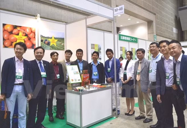 Estudian empresas vietnamitas mercado japonés ảnh 1 Estudian empresas vietnamitas mercado japonés ảnh 1