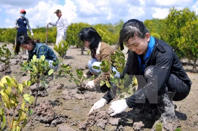  Lanzan campaña de protección del mar en Vietnam ảnh 1