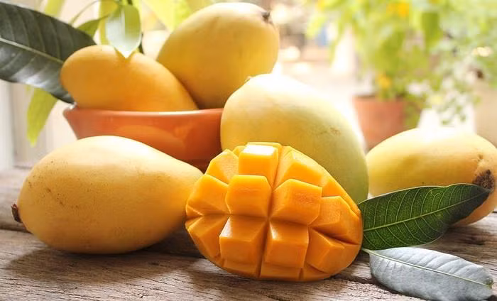 Promueven introducir el mango vietnamita de Hoa Loc en Corea del Sur ảnh 1