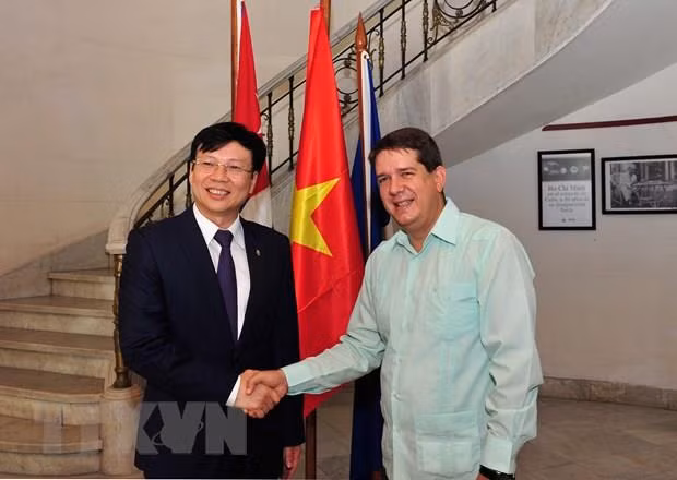 Ratifican Vietnam y Cuba camino común en el periodismo ảnh 2