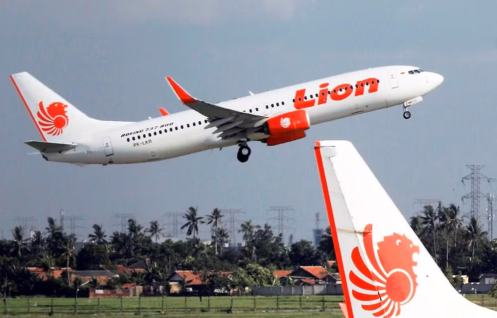 Indonesia y Malasia investigan filtración de datos de clientes de Lion Air ảnh 1