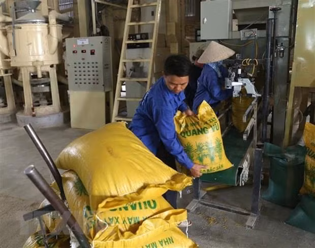 Cae valor de las exportaciones de arroz de Vietnam ảnh 1