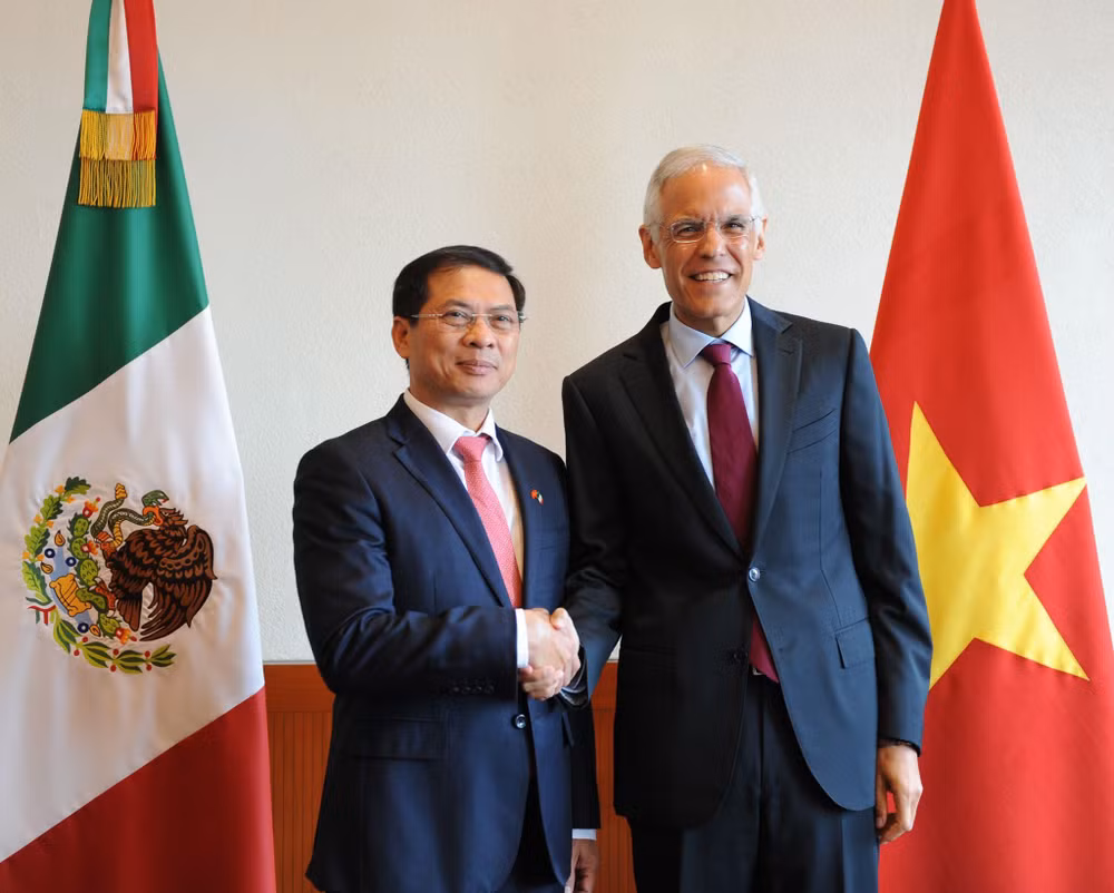 Realizan Vietnam y México quinta consulta política ảnh 2 Realizan Vietnam y México quinta consulta política ảnh 2