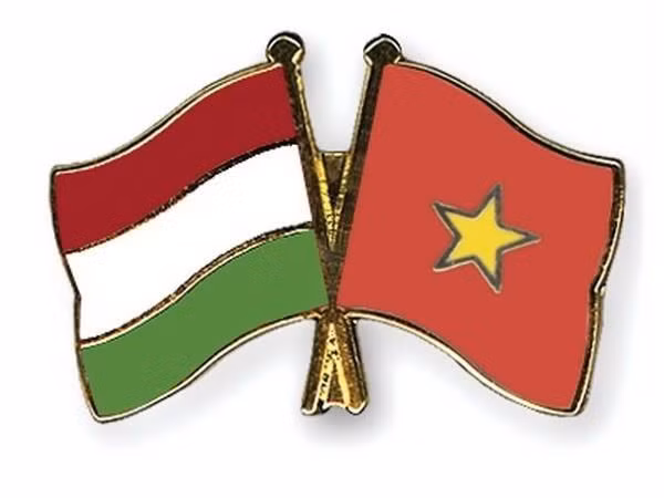 Conmemoran en Hungría Día Nacional de Vietnam ảnh 1