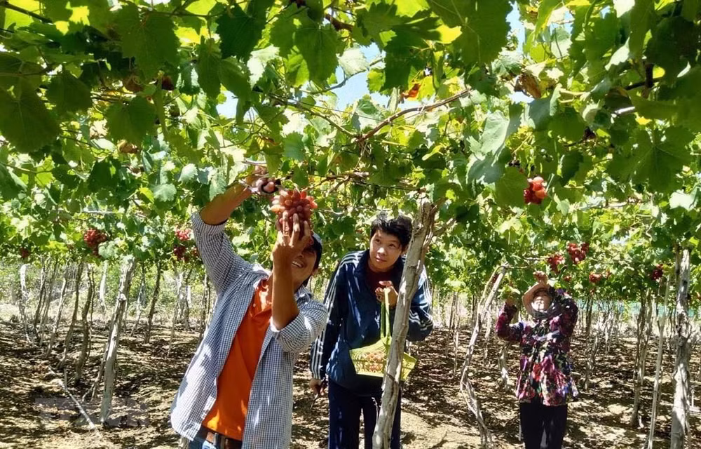 Destacan a Vietnam como atractivo destino del turismo de experiencias ảnh 1 Destacan a Vietnam como atractivo destino del turismo de experiencias ảnh 1