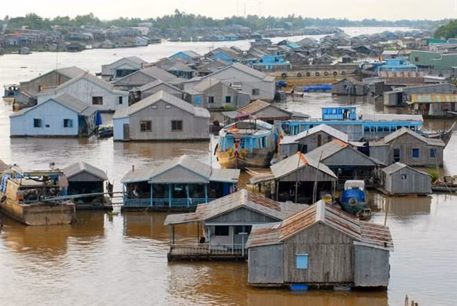 Proyecto de casas antinundaciones en Vietnam surte efecto en el centro ảnh 1