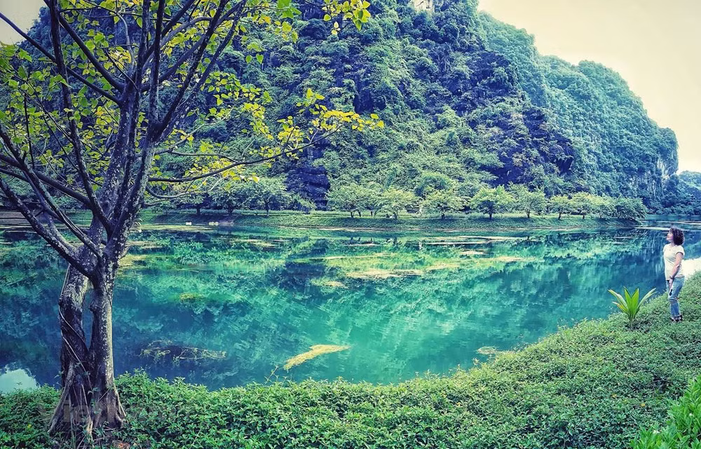 Provincia vietnamita de Ninh Binh por celebrar con éxito el Año de Turismo ảnh 1 Provincia vietnamita de Ninh Binh por celebrar con éxito el Año de Turismo ảnh 1