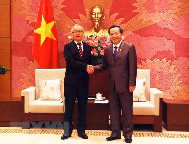 Aprecia vicepresidente del Parlamento de Vietnam fondos de asistencia al desarrollo de Japón ảnh 1
