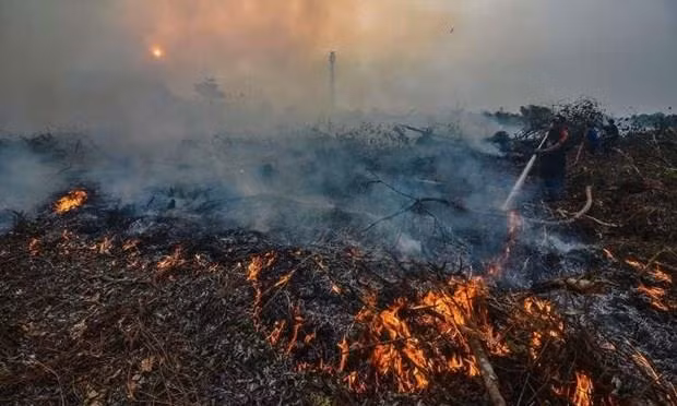 Rezan en Indonesia por lluvia ảnh 1