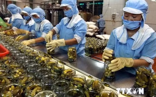 Exportaciones de frutas y verduras de Vietnam caen un 5,8 por ciento en ocho meses ảnh 1