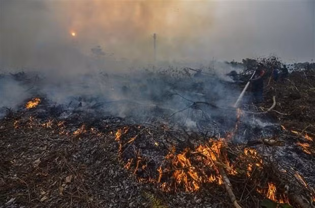 Mantienen en Malasia la suspensión de clases por contaminación ambiental ảnh 1