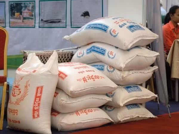 Mantendrá Reino Unido trato preferencial comercial con Camboya después del Brexit ảnh 1