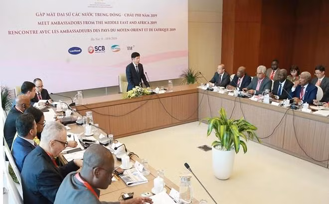 Vietnam busca intensificar relaciones con Medio Oriente y África ảnh 1