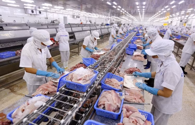 Con EVFTA, Vietnam acelera con viento en popa hacia la integración internacional ảnh 1