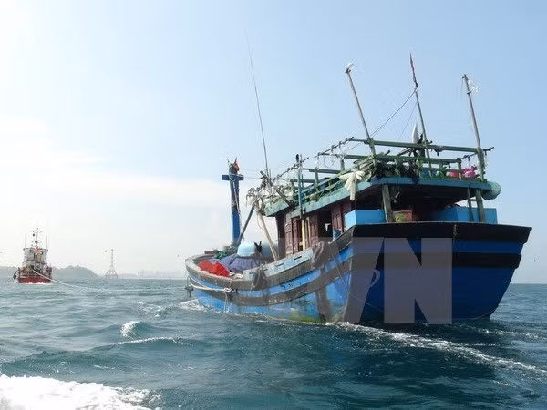 Pescadores vietnamitas rescatan a turista chino en Golfo Tonkín ảnh 1