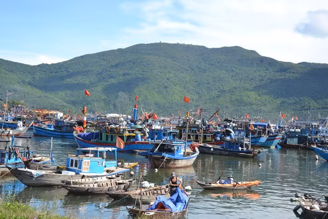 Arranca construcción de área conmemorativa a soldados caídos por Hoang Sa ảnh 1