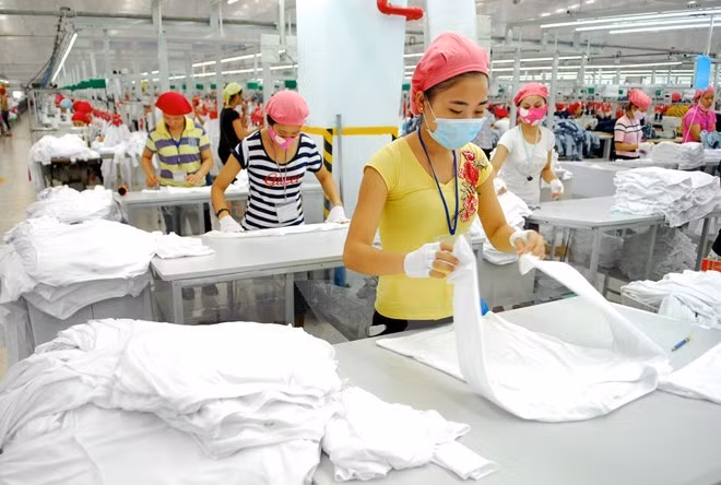 Estados Unidos seguirá siendo el mayor importador de Vietnam ảnh 1