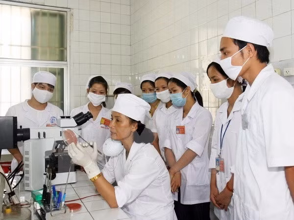 Vietnam desarrolla recursos humanos para elevar la competitividad nacional ảnh 1 Vietnam desarrolla recursos humanos para elevar la competitividad nacional ảnh 1