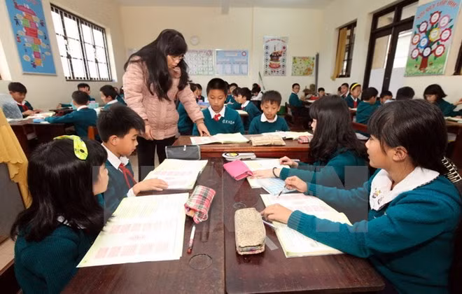 Localidades vietnamitas fomentan cooperación educativa ảnh 1