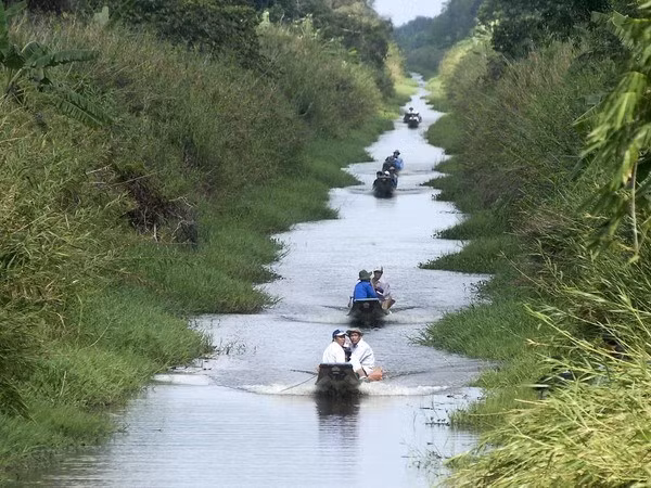 Turismo de Ca Mau se fija la meta de 500 mil llegadas en 2016 ảnh 1