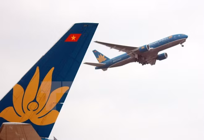 Aerolíneas vietnamitas ofrecen boletos promocionales en Año Nuevo ảnh 1
