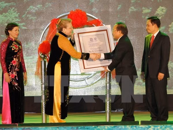 Comité Nacional de UNESCO de Vietnam revisa trabajos de 2015 ảnh 1