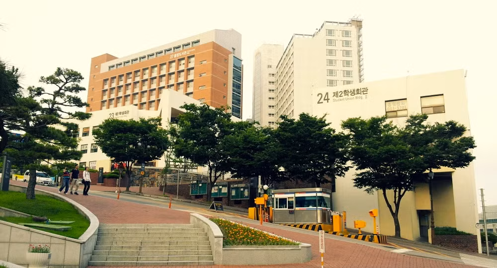 Dong Nai y universidad sudcoreana cooperan en formación de recursos humanos ảnh 1