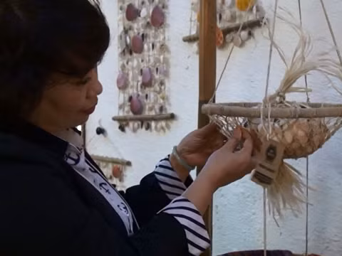 Hoi An diseña marca turística con productos derivados de planta local ảnh 3