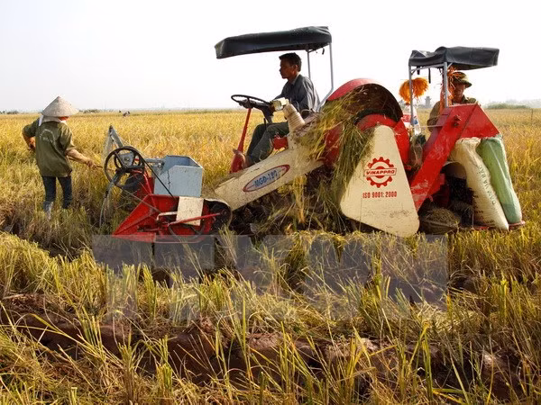 Vietnam aspira a 31 mil millones de dólares de exportaciones agrícolas en 2016 ảnh 1