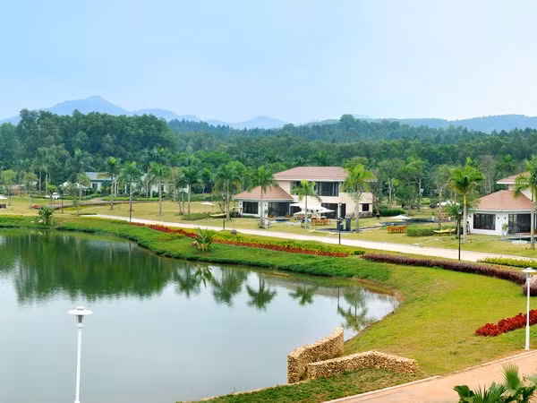 Desarrollan zonas urbanas verdes en Vietnam ảnh 1